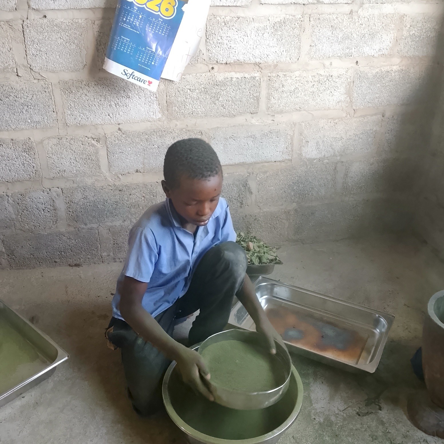 Youth program activities